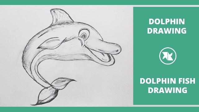 How to Draw a Dolphin Fish | Dolphin Drawing Step by Step Tutorial | Fish Drawing