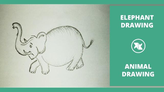 How to Draw a Elephant | Easy Elephant Step by Step Drawing for kids | Cartoon Elephant Drawing