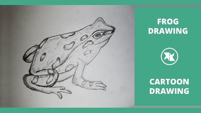 How to Draw a Frog | Easy Frog Step by Step Drawing for kids | Cartoon Frog Drawing